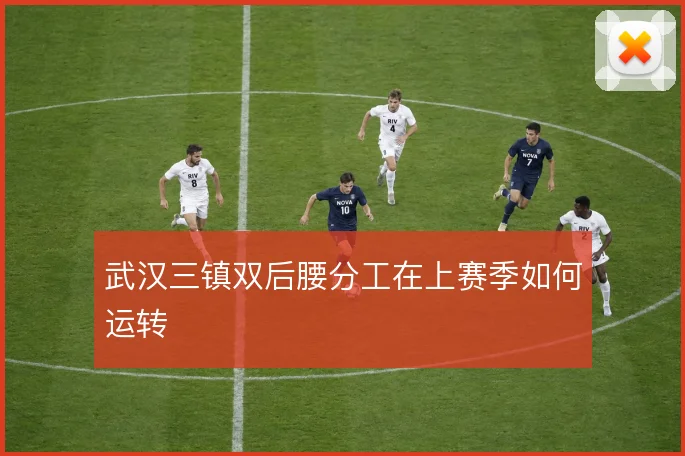 武汉三镇双后腰分工在上赛季如何运转