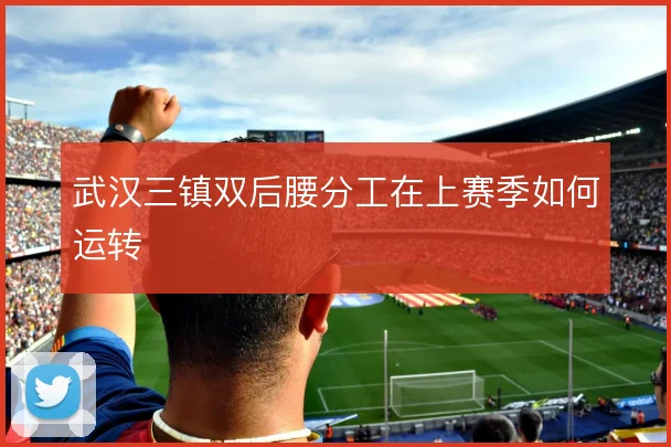 武汉三镇双后腰分工在上赛季如何运转