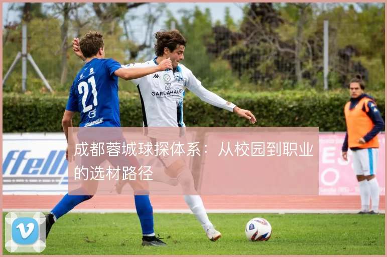 成都蓉城球探体系：从校园到职业的选材路径