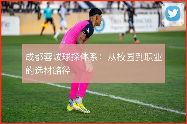 成都蓉城球探体系：从校园到职业的选材路径